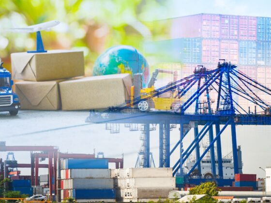 yys-zorunlu-egitimler-gumruk-dis-ticaret